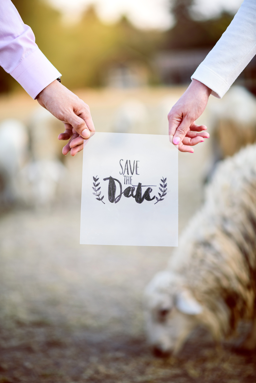 Bride and Groom hands show text save the date outdoor