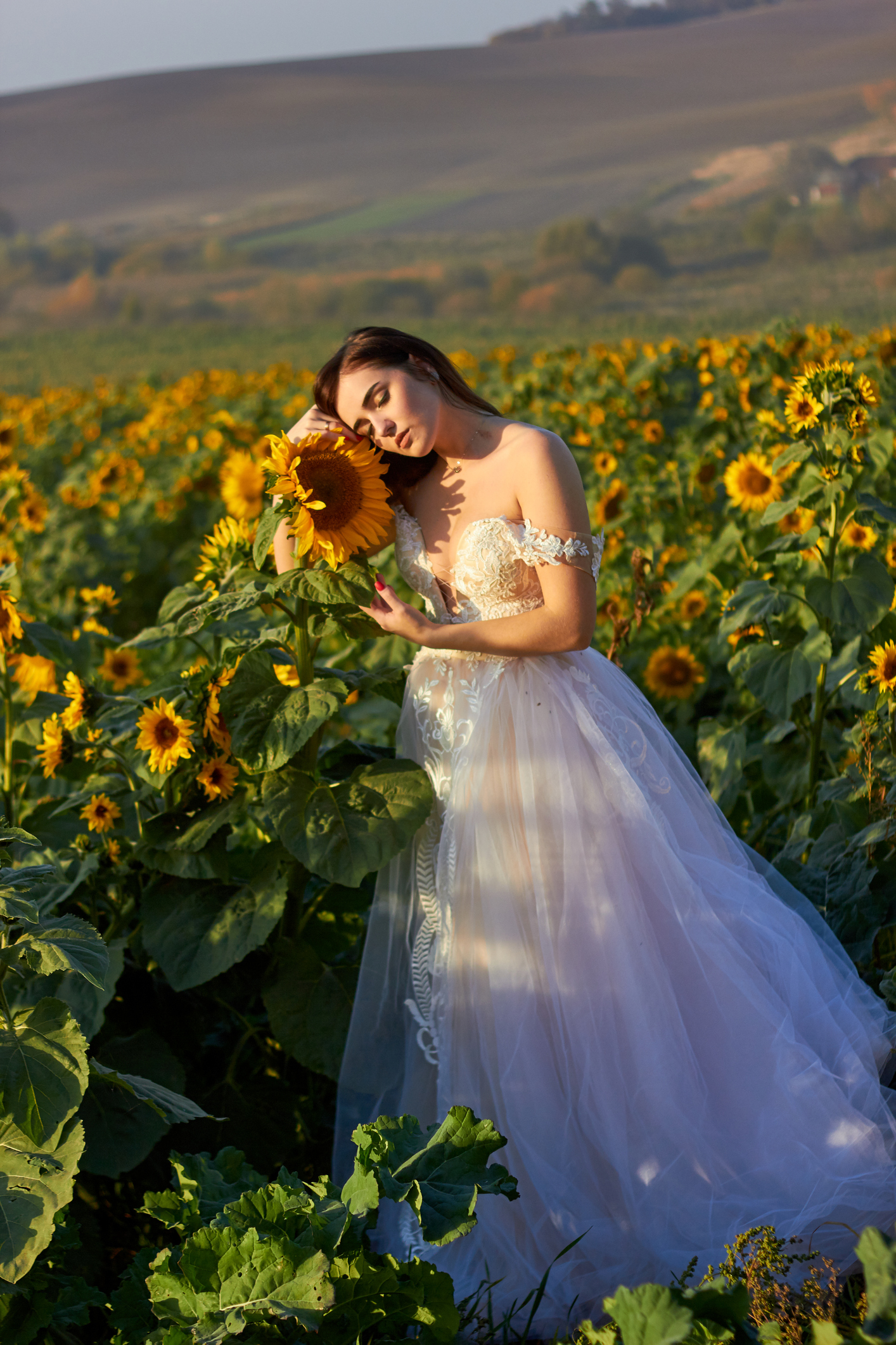 Beautiful bride in a white dress enjoying nature on a field of sunflowers. Sunlight plays on the field. Outdoor lifestyle.Amazing view and nature.