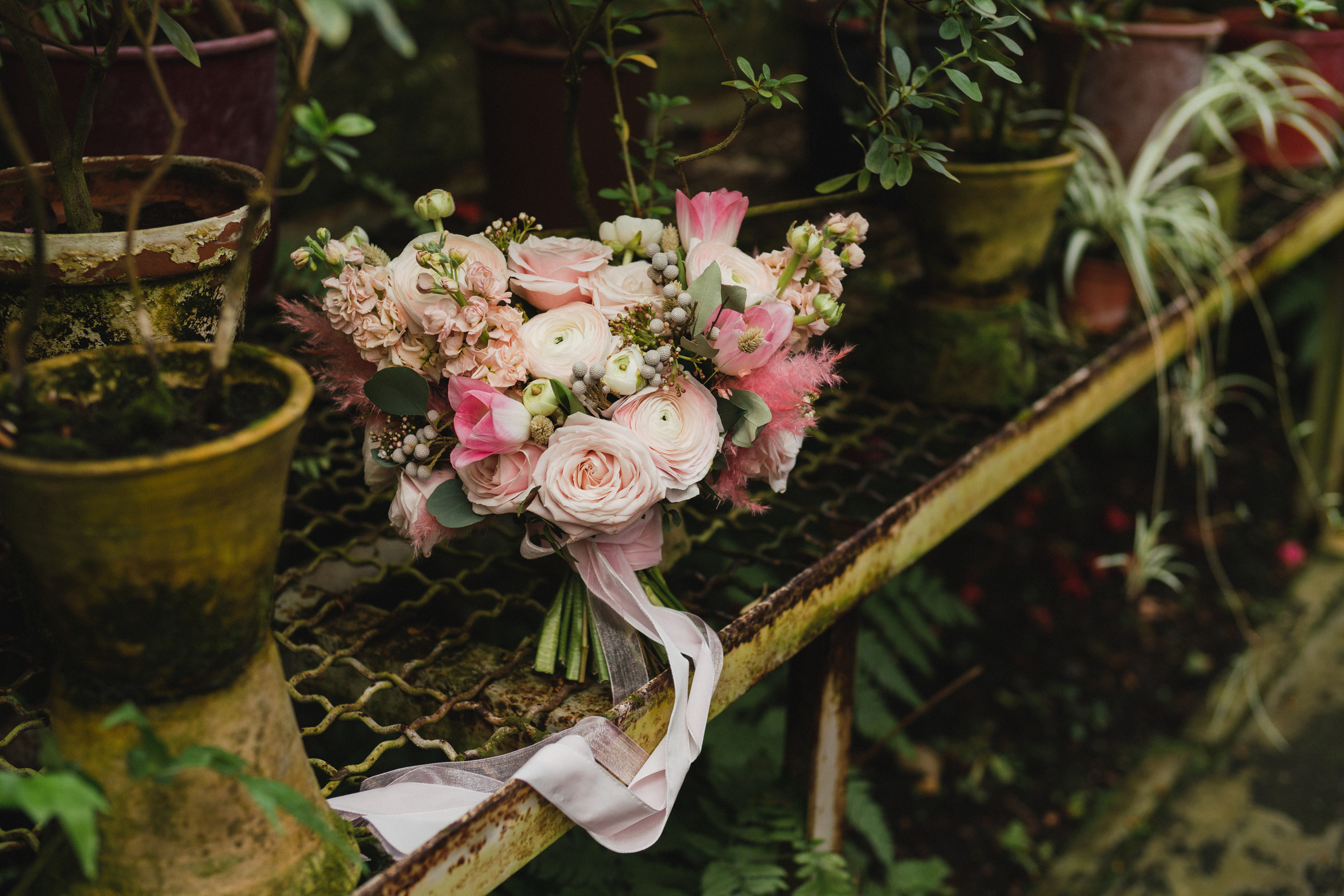 wedding bouquet made in the garden with pink roses and ribbon