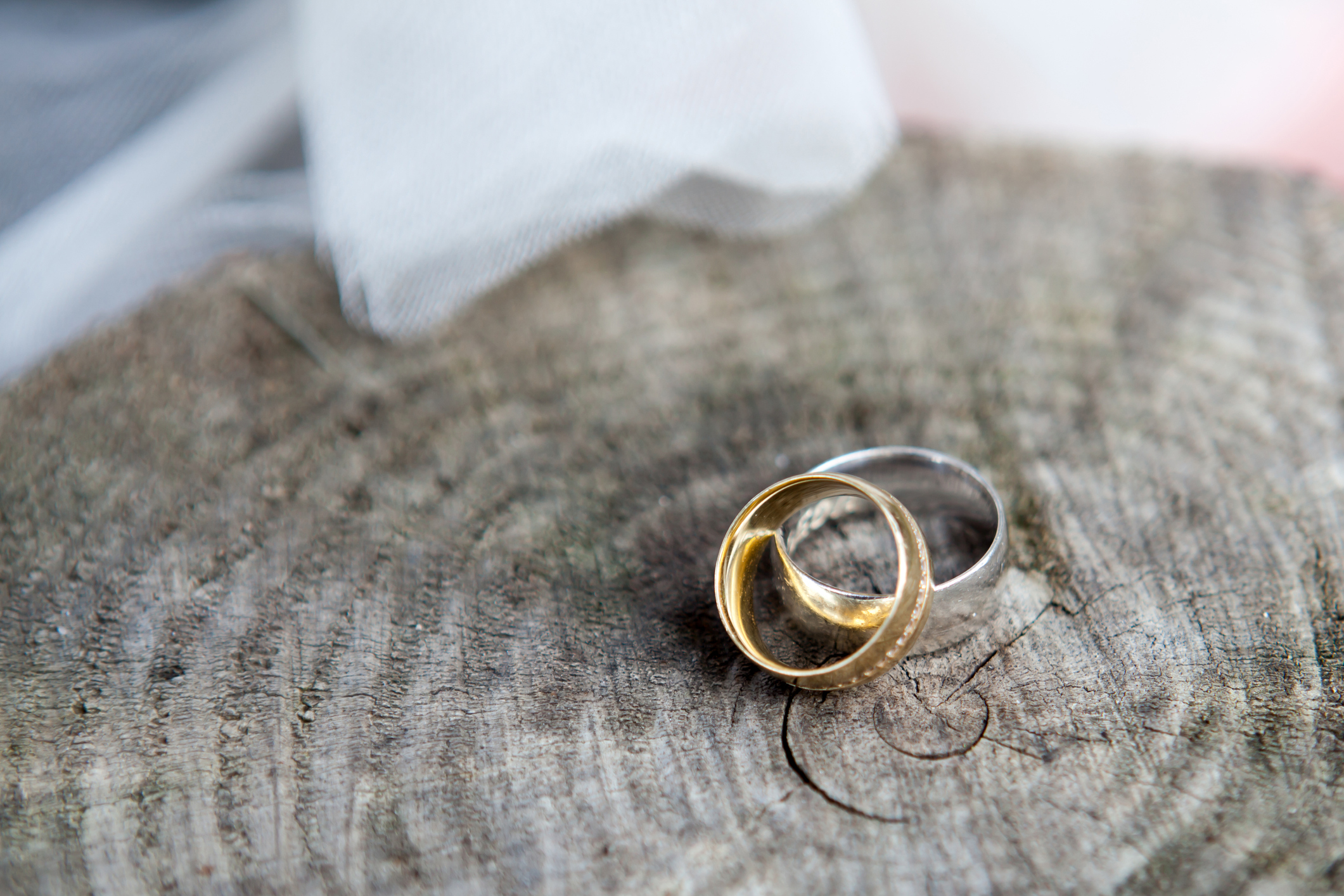 wedding bands on tree trunk